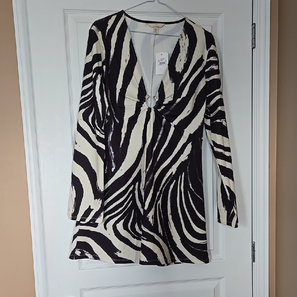 H&M Zebra Print Long Sleeve Dress